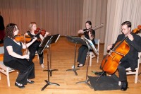 SUMMIT Strings