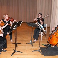 SUMMIT Strings - String Quartet in Lenoir, North Carolina