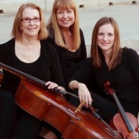 Sunland Strings - Classical Ensemble in Casa Grande, Arizona