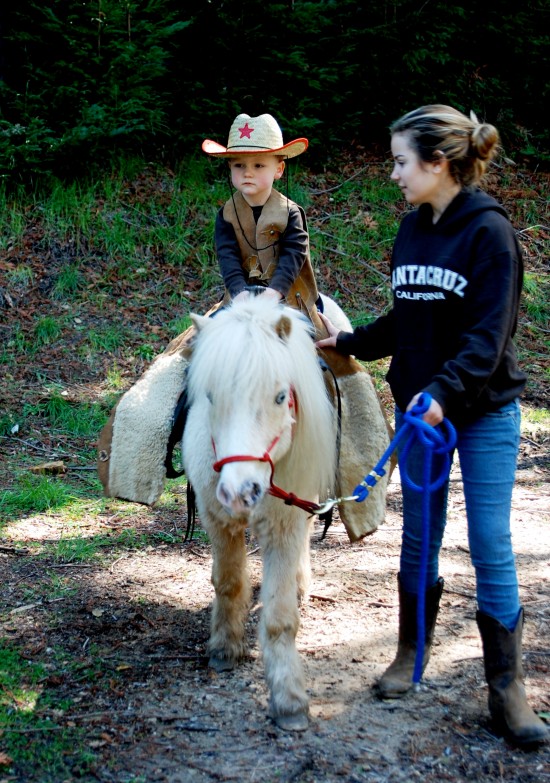 Little Cowboy Party!