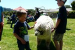 Ella the Alpaca