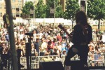 Wildflower Festival, Richardson TX