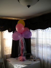 T. Rena Weddings / Events Inc.
