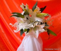 T. Rena Weddings / Events Inc. - Wedding Planner in Long Island, New York