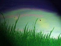 Tall Grass Emporium - Unique & Specialty in Gallup, New Mexico