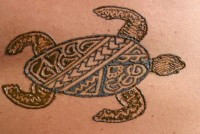 Maui Temporary Tattoos - Concessions in Maui, Hawaii