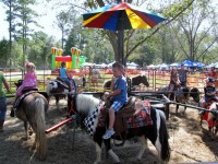 Taylors Pony Parties