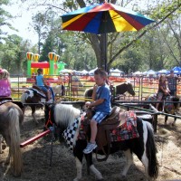 Taylors Pony Parties - Pony Party in Meridian, Mississippi