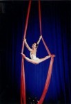 aerial