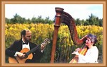 Harp - Guitar Duo