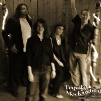 Tequila Mockingbird LLC - Rock Band in Aurora, Colorado