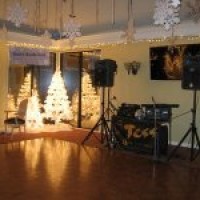 Tess Productions - Wedding DJ in Melbourne, Florida