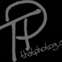That Photog LLC - Headshot Photographer in Wausau, Wisconsin