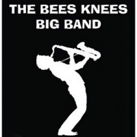 The Bees Knees Big Band - Big Band in Minneapolis, Minnesota