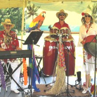 The Calypso Gypsies Steel Drum Band - Beach Music in Staunton, Virginia