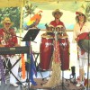 The Calypso Gypsies Steel Drum Band