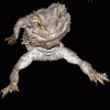 The Happy Dragon