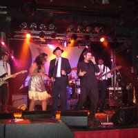 The Jesters - Funk Band in Aurora, Illinois