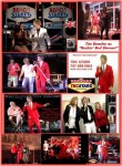 ROD STEWART FUN ROD STEWART FUN