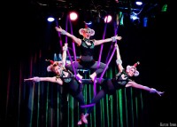 The Mystic Ponies - Aerialist in Metairie, Louisiana