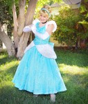 Cinderella Orange County Princess Party Character Cinderella Orange County Princess Party Character