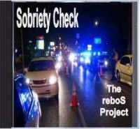 The reboS Project - Top 40 Band in Tullahoma, Tennessee
