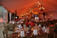 The Stuart Rental Company - Party Rentals in Oakland, California