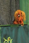 Mr. Fox Mr. Fox