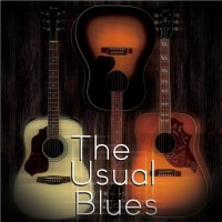 The Usual Blues - Christian Band in Clarksville, Tennessee