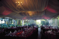 The Wedding Planner - Event Services in Lethbridge, Alberta