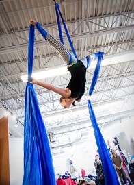 The Weird Sisters Circus
