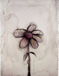 The White Door Florist