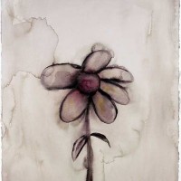 The White Door Florist - Event Florist in , 