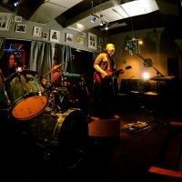 The Wild Fruit - Bands & Groups in Ozark, Alabama