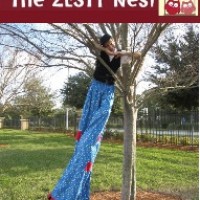 The ZESTY Nest - Costume Rentals in , 