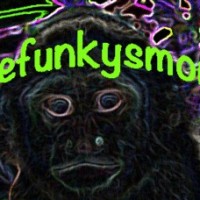 thefunkySmonkey - Club DJ in Glendale, California