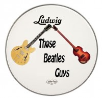 Those Beatles Guys