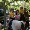 Tickle Me Pony Rides and Traveling Petting Zoo