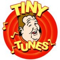 Tiny Tunes Mobile Music - Wedding DJ in Fort Wayne, Indiana