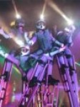 robo