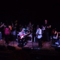 Toler Tucci Band - Bands & Groups in Sarasota, Florida