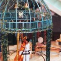 Tomoko, Harpist - Celtic Music in New York City, New York