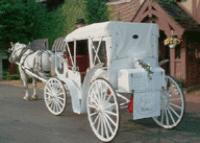 Top Hats and Tails Carriage Company - Limo Services Company in Rochester Hills, Michigan