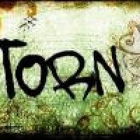 Torn - Cover Band in Omaha, Nebraska