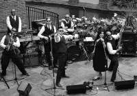 Total 1 Band