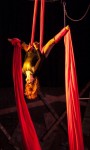 Silks Act