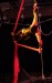 Silks Act