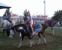TrailBlazin Pony Rides