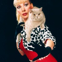 Trained House Cats - Circus Entertainment in Athens, Georgia