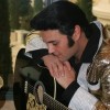 #1 Young Elvis - Travis Allen